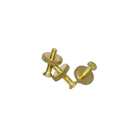 BRASS CAP AND SCREW